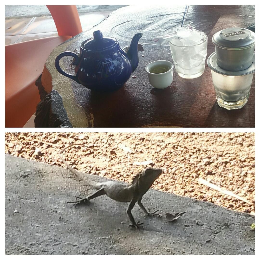 Mein Gast beim Fruehstuecks-Kaffee