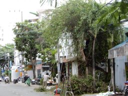 DSCN9000.small.small