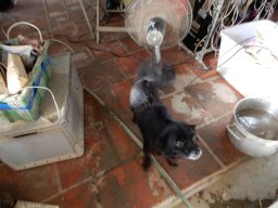 DSCN9005.small.small