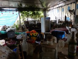 DSCN9010.small.small