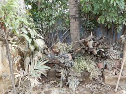 DSCN9018.small.small