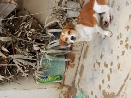 DSCN9027.small.small