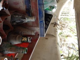 DSCN9029.small.small