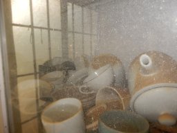 DSCN9033.small.small