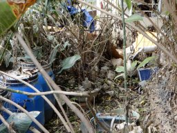 DSCN9057.small.small