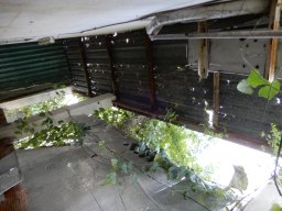 DSCN9064.small.small