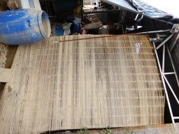 DSCN9073.small.small