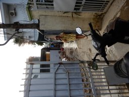 DSCN9075.small.small