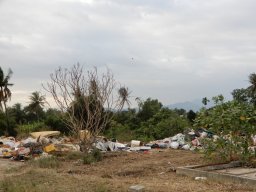 DSCN9083.small.small