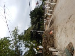 DSCN9092.small.small