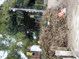 DSCN9093.small.small