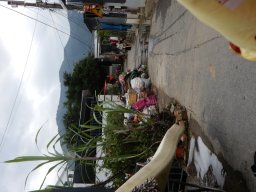 DSCN9099.small.small