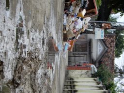 DSCN9115.small.small