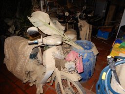 DSCN9138.small.small