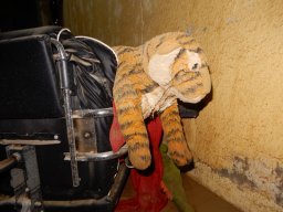 DSCN9145.small.small