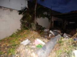 DSCN9147.small.small