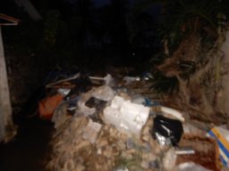 DSCN9150.small.small