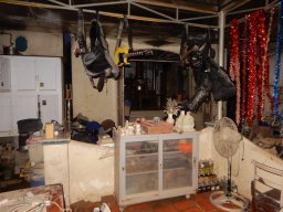 DSCN9155.small.small